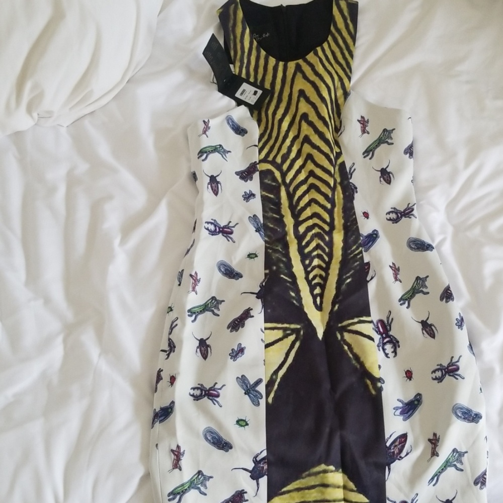 Angelys Balek dress insect print